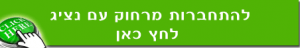 השתלטות מרחוק על ידי נציג